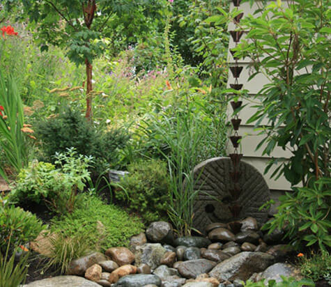 Rain Garden, In Harmony Sustainable Landscapes