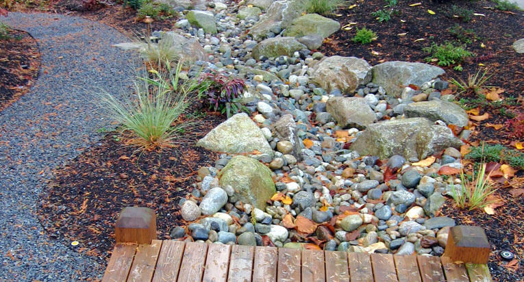 Rain Garden • In Harmony Sustainable Landscapes