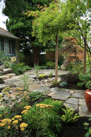 Rain garden landscape