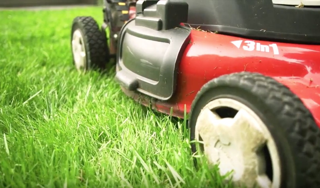 How to mow to keep your lawn healthy