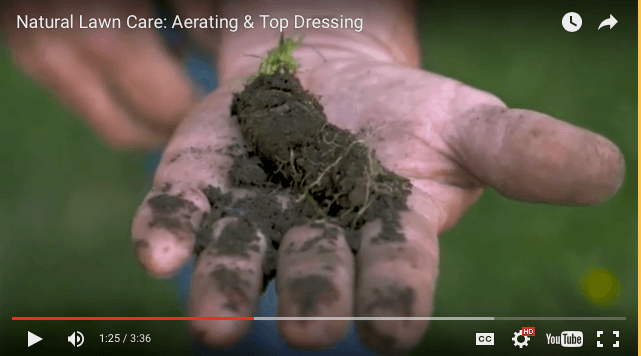 Now is the time to aerate and overseed your lawn