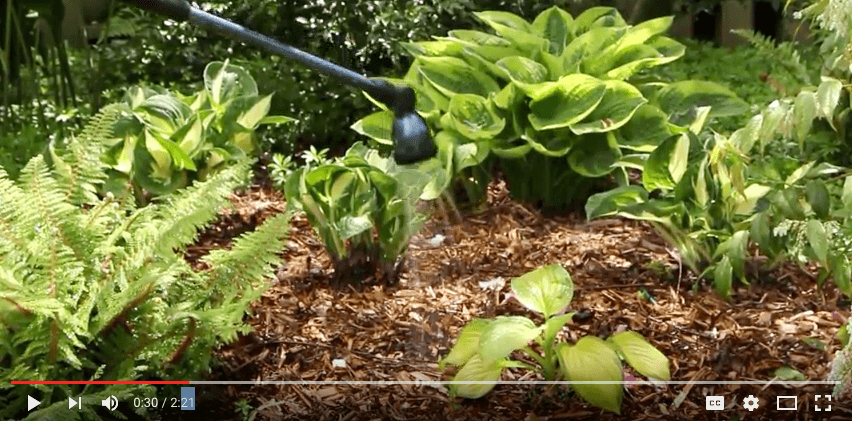 Video tips on watering systems: wands, hoses, sprinklers