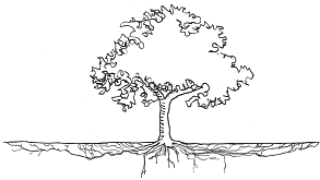 A tree’s roots are relatively shallow (three feet or less deep), and most roots are within 12 inches of the surface. Roots extend well past the canopy drip line. Illustration: University of Minnesota Extension. In Harmony Sustainable Landscapes