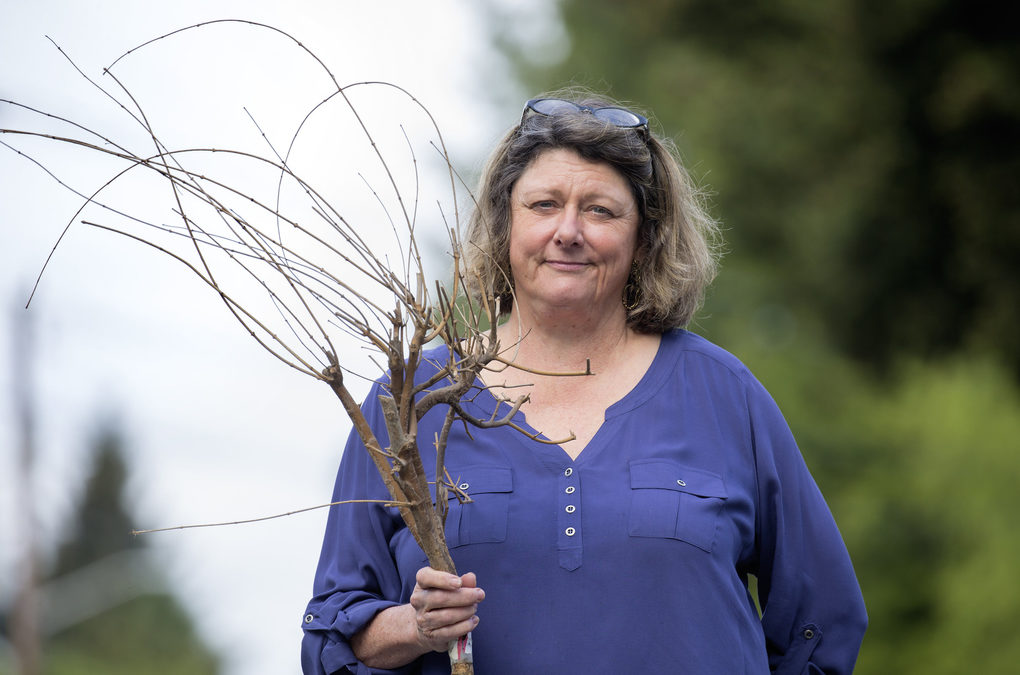 PlantAmnesty founder Cass Turnbull dies