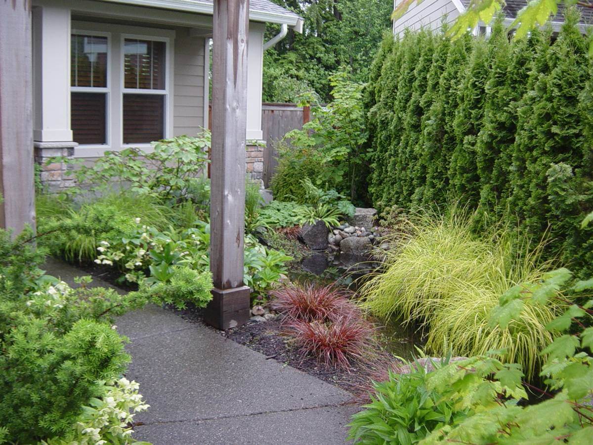 In Harmony: Seattle Sustainable Landscape Company