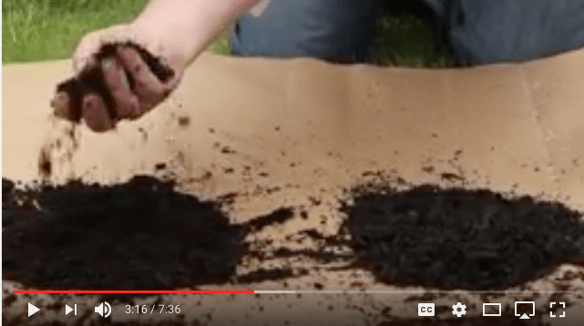 Mulch: one of the best things you can do for your garden