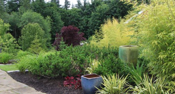 In Harmony Sustainable Landscapes, Features, Plantings