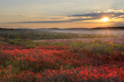 Thank you to our clients. In Harmony Sustainable Landscapes