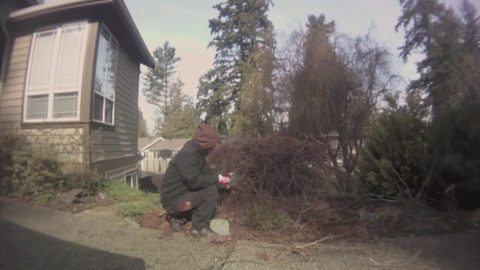 We are now scheduling winter pruning. Enjoy our time lapse pruning video. In Harmony Sustainable Landscapes 