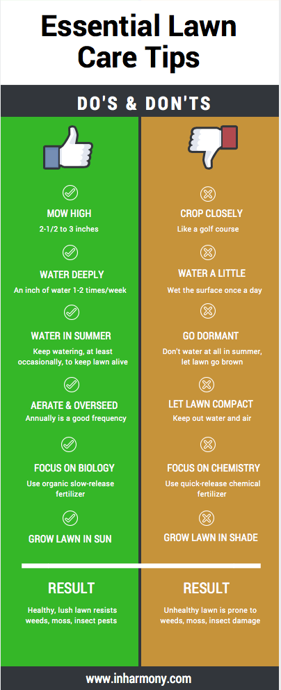 Tips for a beautiful and healthy lawn--In Harmony Sustainable Landscapes