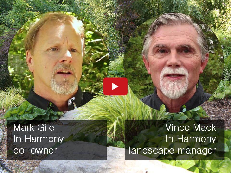 Sustainable Landscape Company, In Harmony Landscape Design &amp; Installation Process