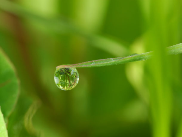 Smart watering: how much, when and how long to water--In Harmony ...