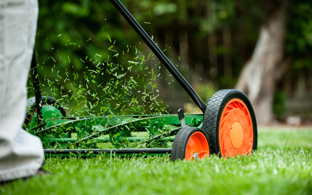 Mowing tips for a healthy lawn