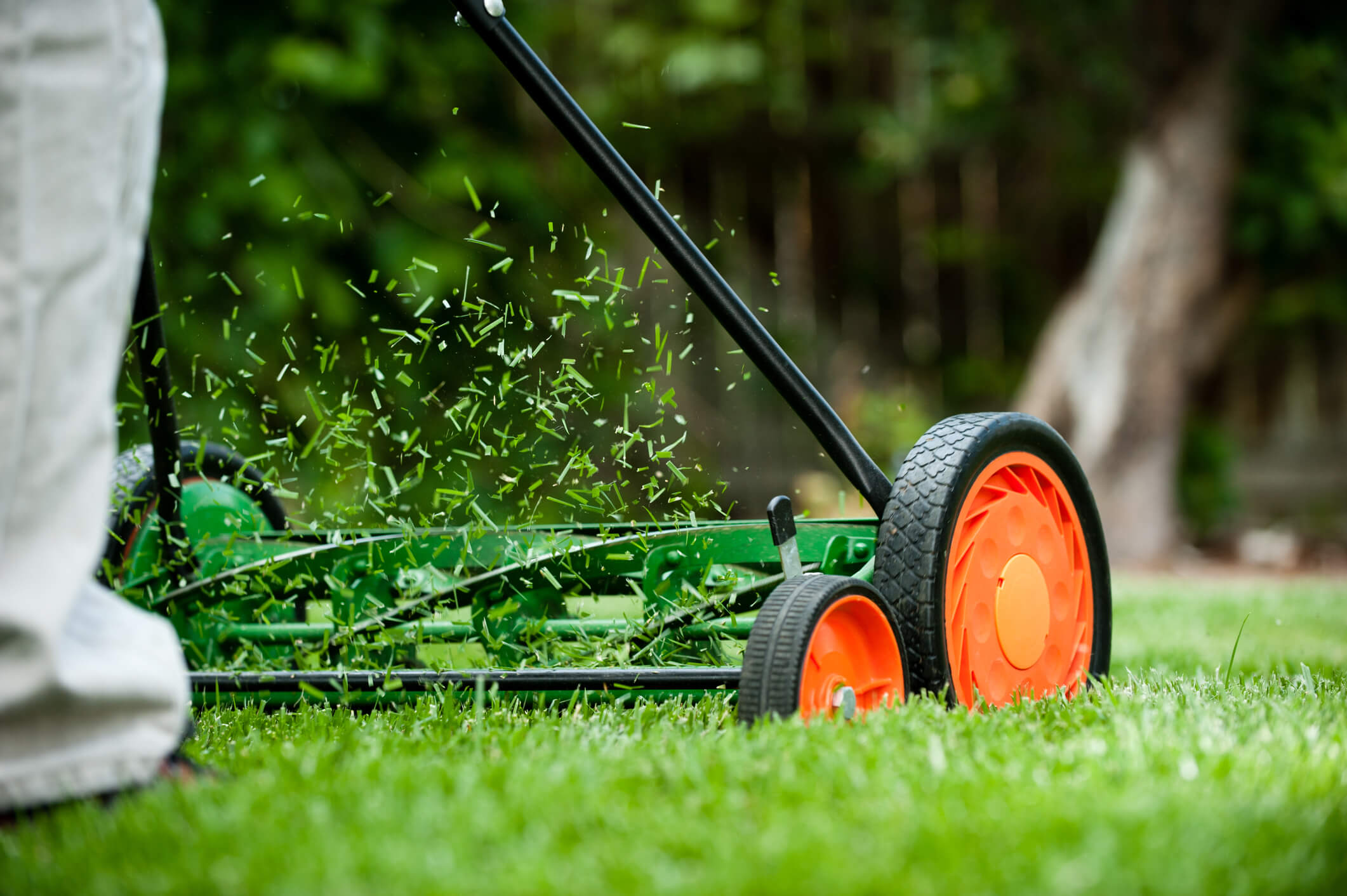 When Do You Stop Mowing Your Lawn