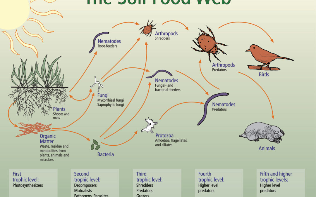 Soil is alive