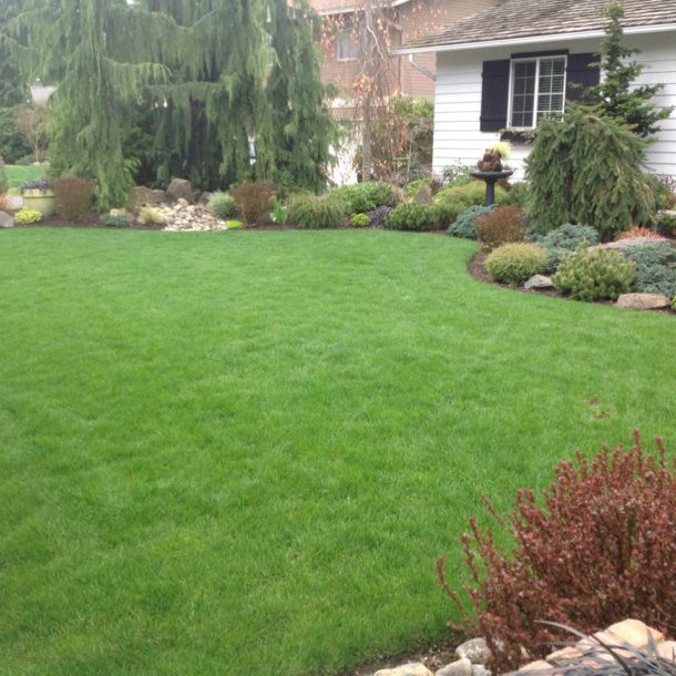 Our yard care services use local, organic products • In Harmony