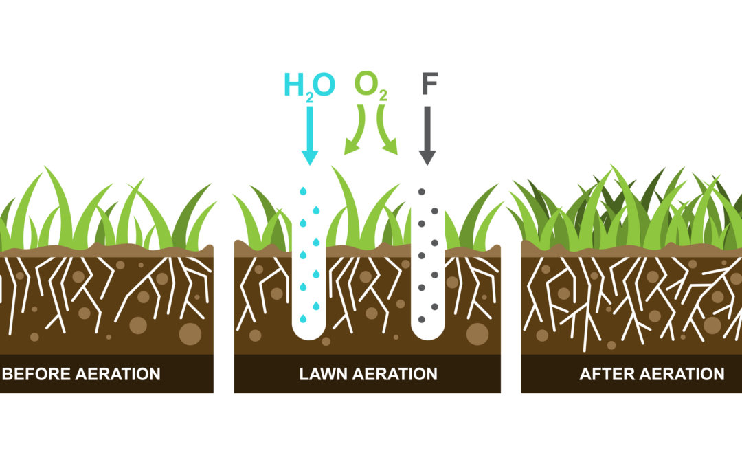 Help your lawn breathe! Have it aerated