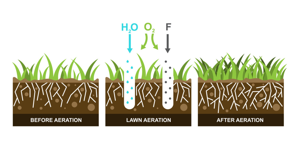 Aeration helps your lawn's roots get access to water, air and fertilizer. In Harmony Sustainable Landscapes