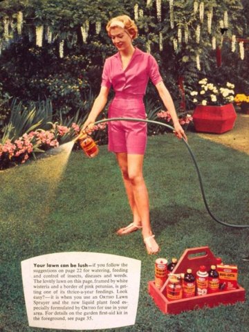 When we started In Harmony in 1994, we challenged the landscape industry's "better living through chemistry" mindset. In Harmony Sustainable Landscapes