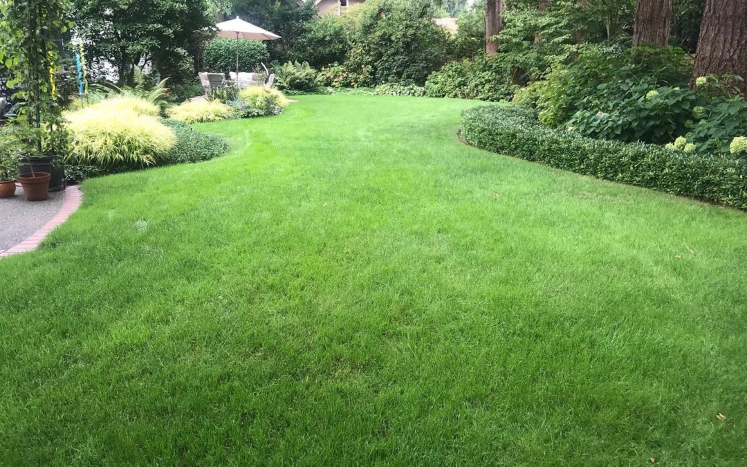 Improve lawn health with aeration and AxisDE