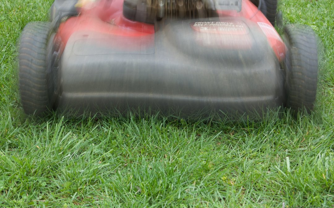 How to mow for a healthy lawn
