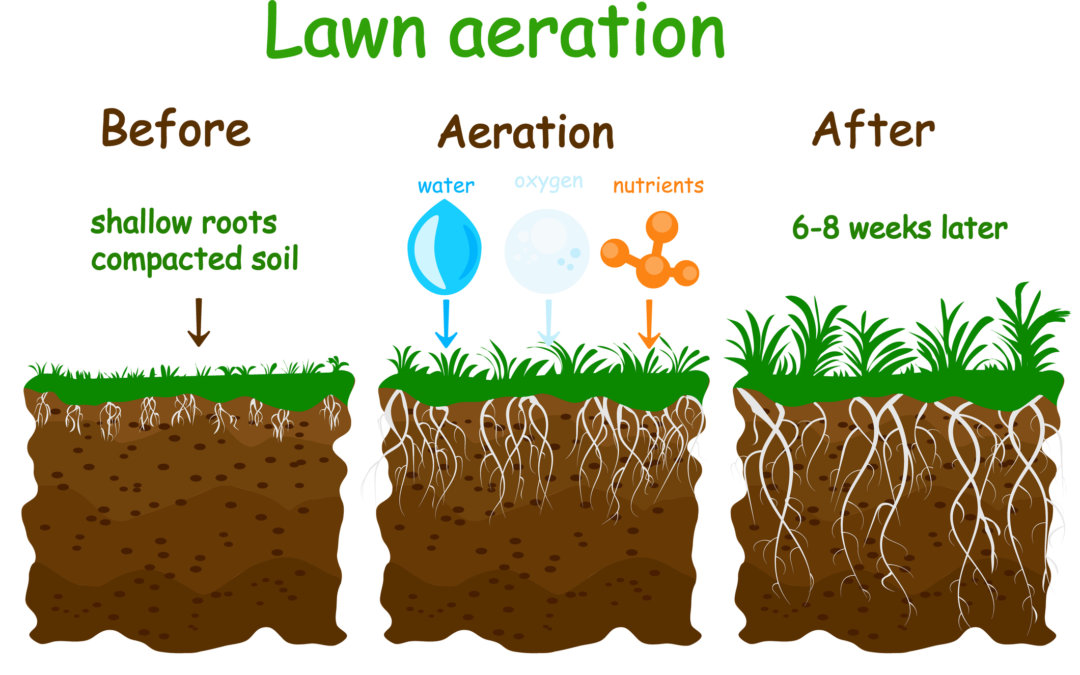 Aeration will improve lawn health