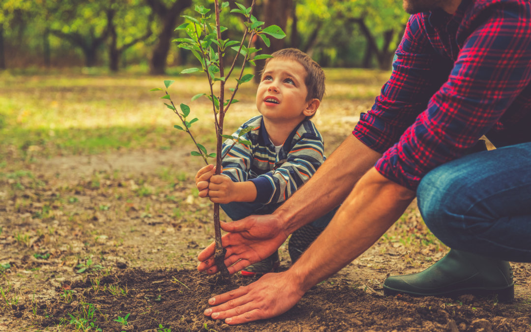 Plant a tree now for the planet’s future