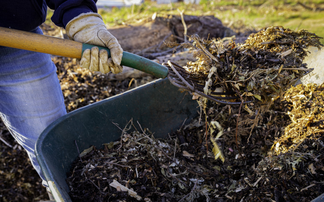 The Dos and Don’ts of Mulch