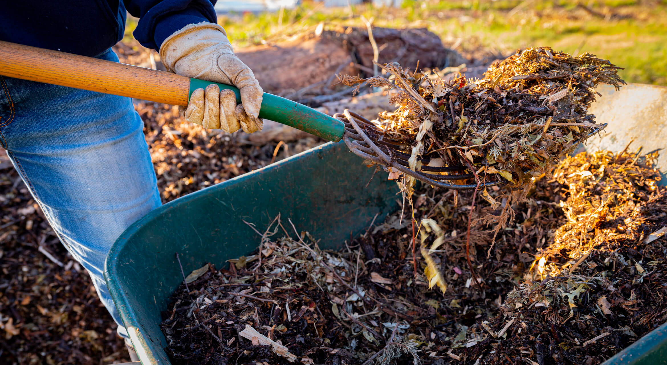 Here are tips on the dos and don'ts of mulch. In Harmony Sustainable Landscapes