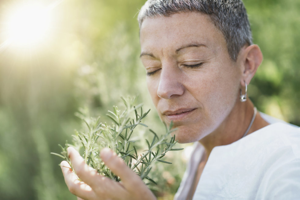 Benefits of nature for your health • In Harmony Sustainable Landscapes