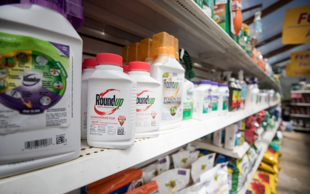 What’s the deal with Roundup?