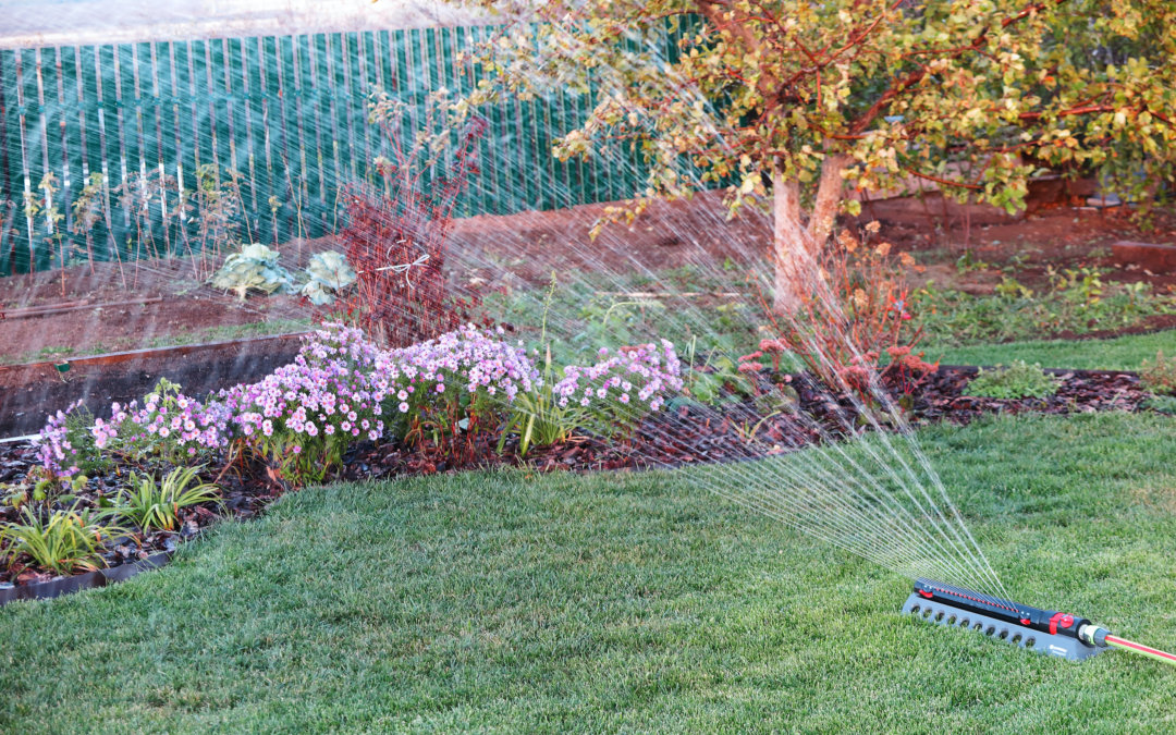 Watering tips for Seattle landscapes