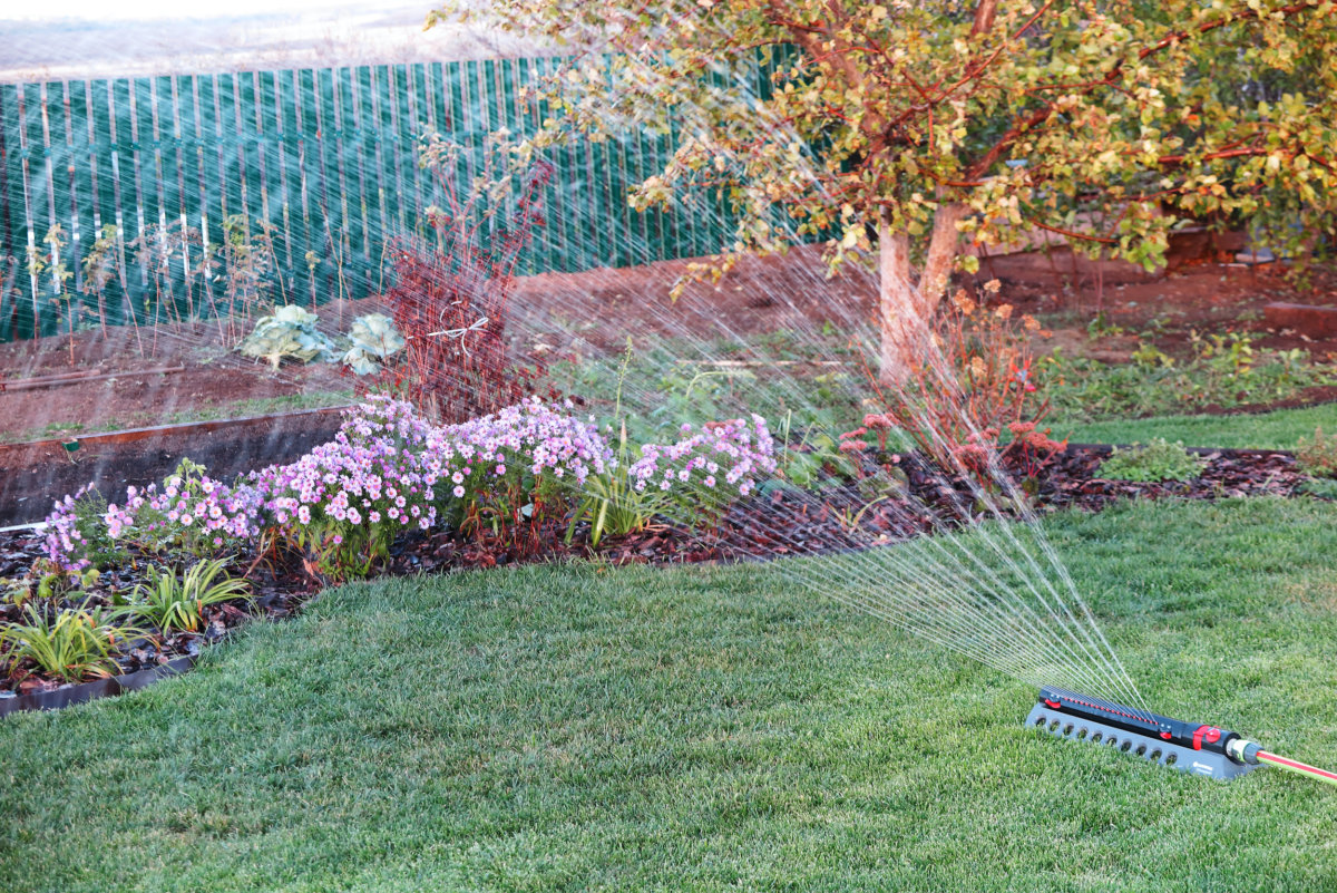 Here are watering tips to help you keep your landscape plants alive and healthy this summer. In Harmony Sustainable Landscapes