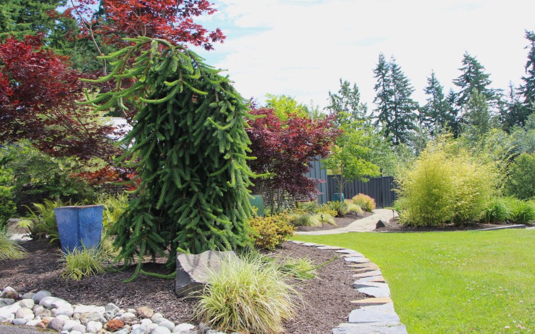 How does your landscape look? It’s time to review the good, the bad and the ugly