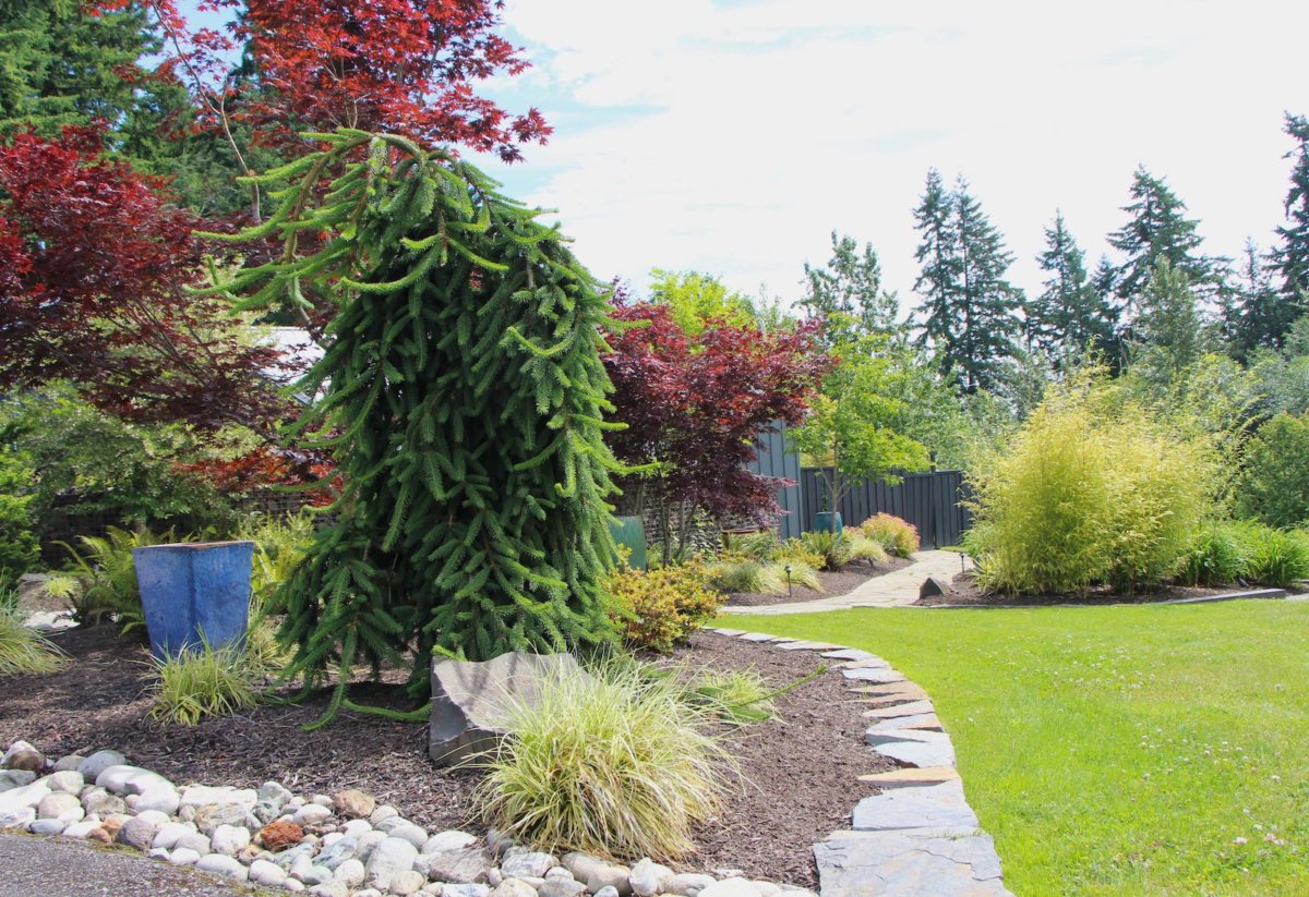 How does your landscape look after the growing season? This is a good time to review what looks good, what did poorly and what you might like to change. Landscape design and installation by In Harmony Sustainable Landscapes.