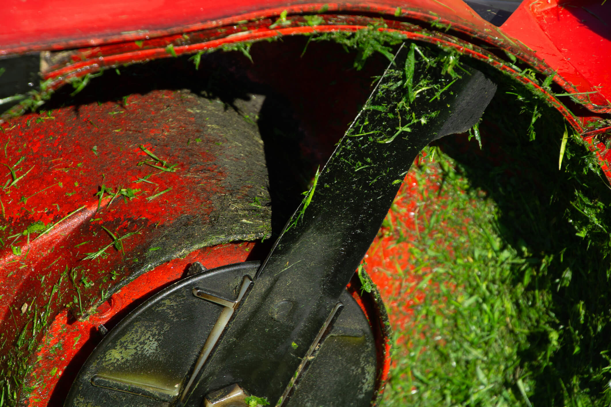 It's time to clean and sharpen your mower blades • In Harmony