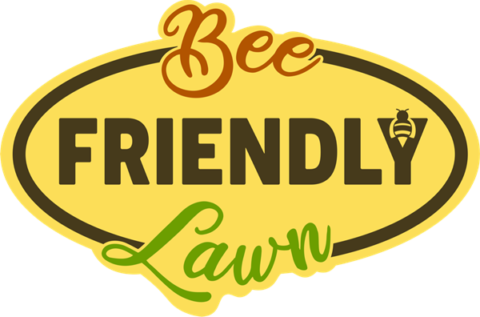 Bee Friendly Lawn, In Harmony Sustainable Landscapes