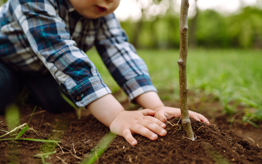 Plant a tree for Earth Day