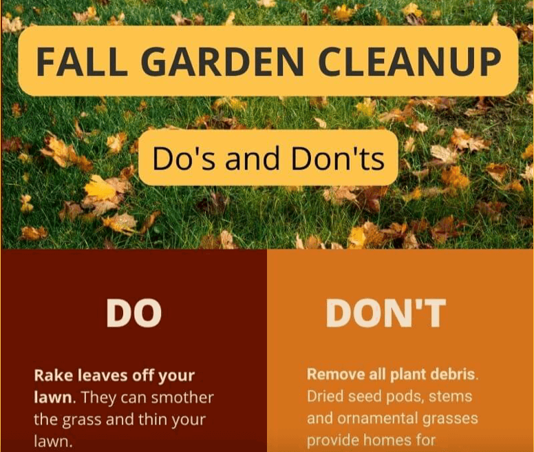 Fall garden cleanup: do’s and don’ts