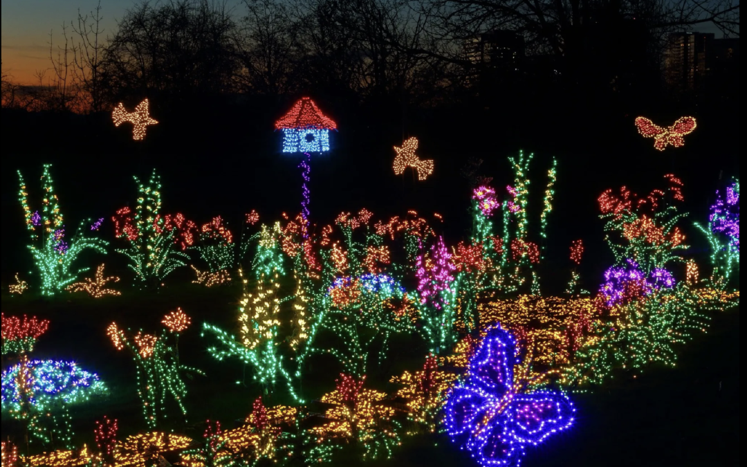 Enjoy holiday light shows at local public spaces