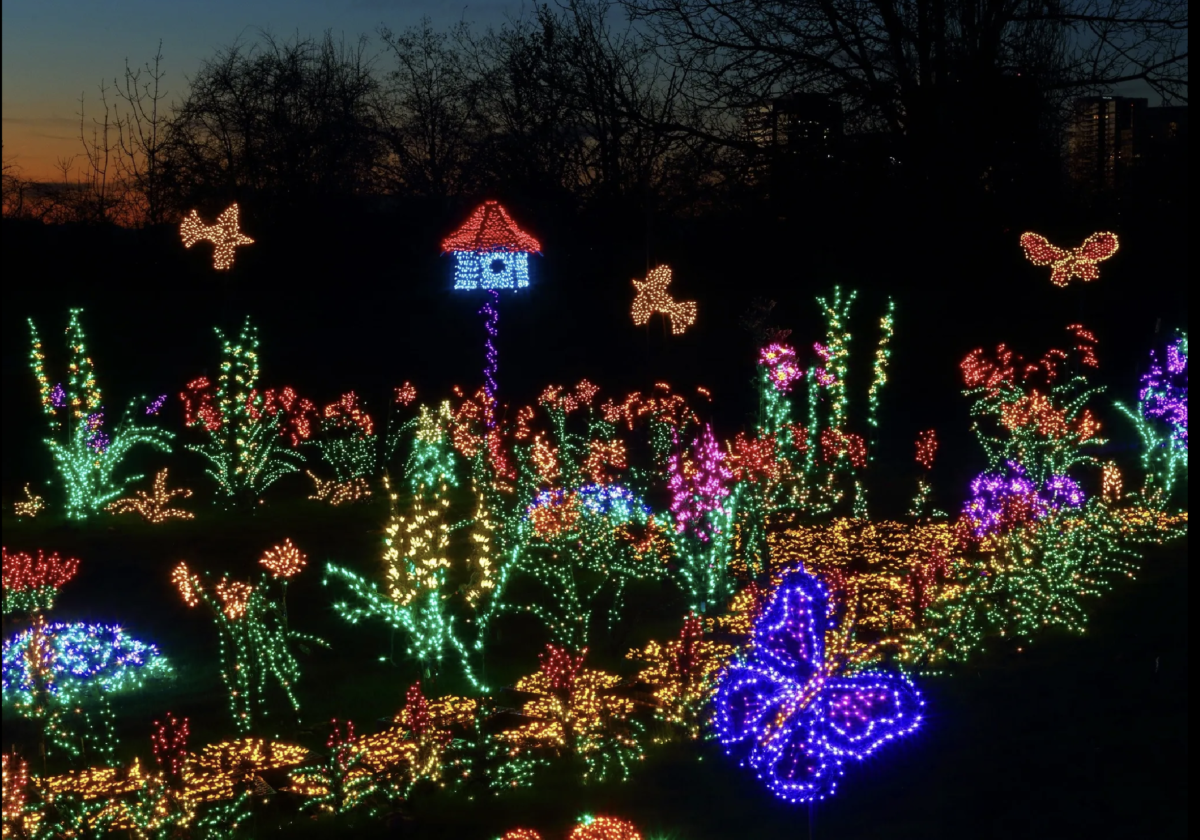 Garden d'Lights at Bellevue Botanical Gardens is one of the holiday light shows offered to help you celebrate the season. In Harmony Sustainable Landscapes