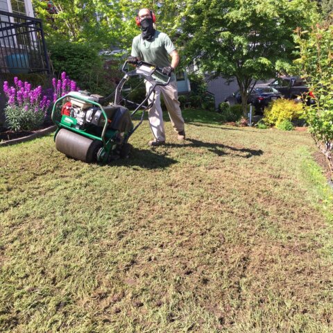 We help lawns stay healthy through the use of organic fertilizers, aeration and overseeding, and other natural lawn care services. In Harmony Sustainable Landscapes 