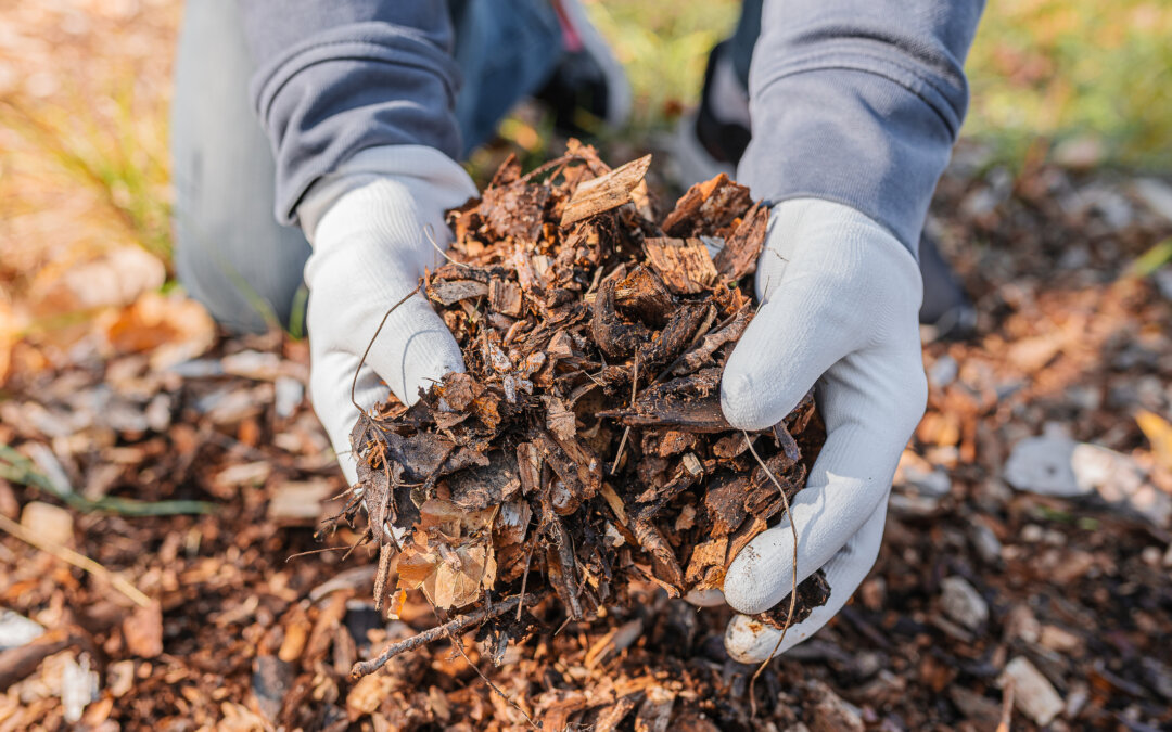 How to use mulch in your yard