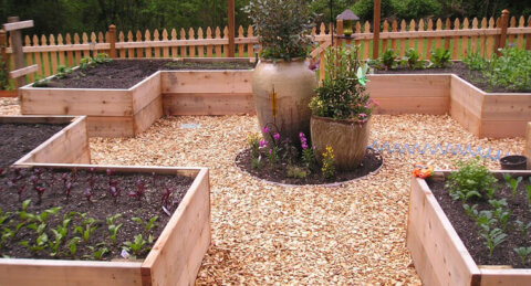 Vegetable gardens with raised beds are a convenient and attractive way to grow food for your family. In Harmony Sustainable Landscapes