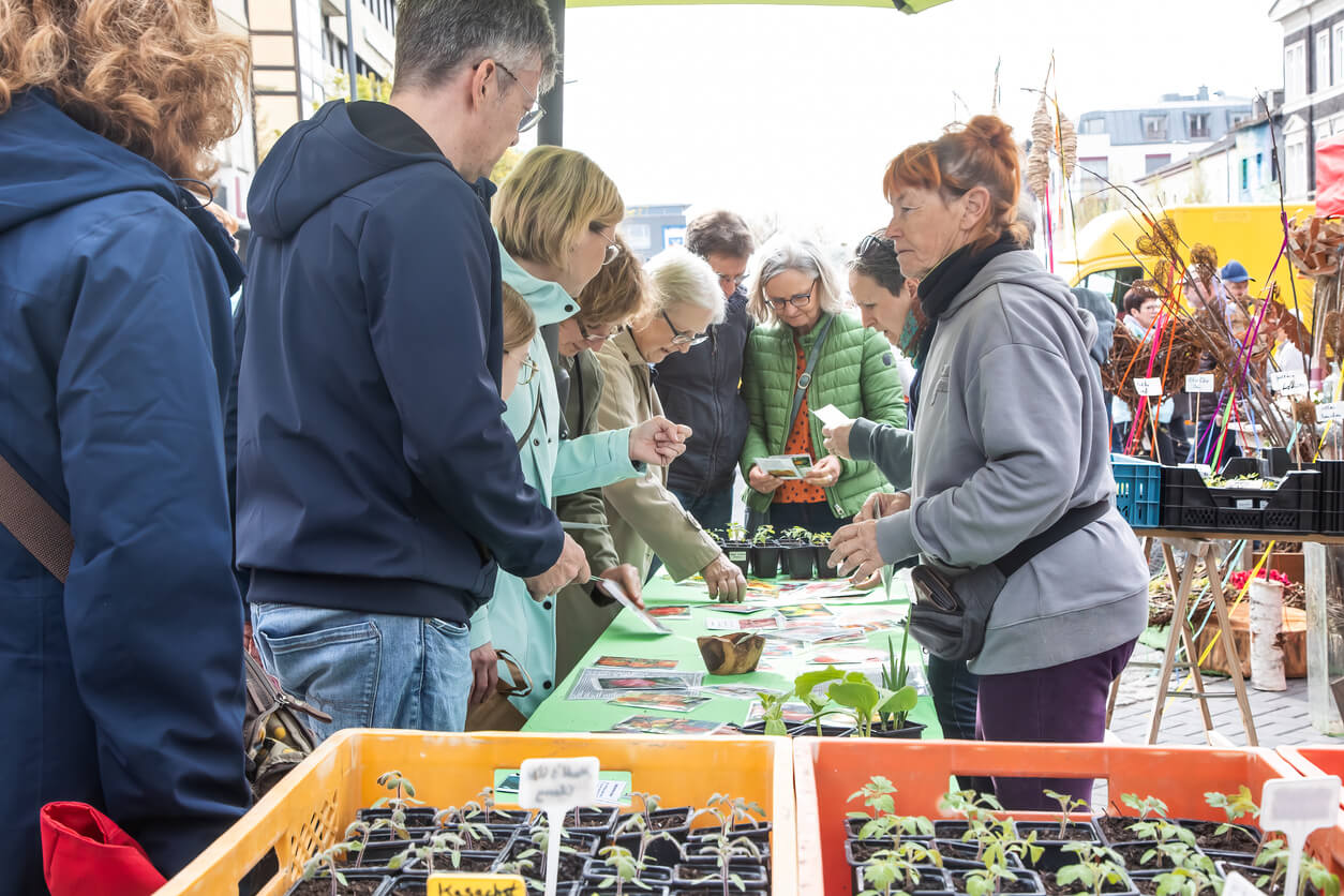 Plant sales are a great place to buy new garden plants • In Harmony ...