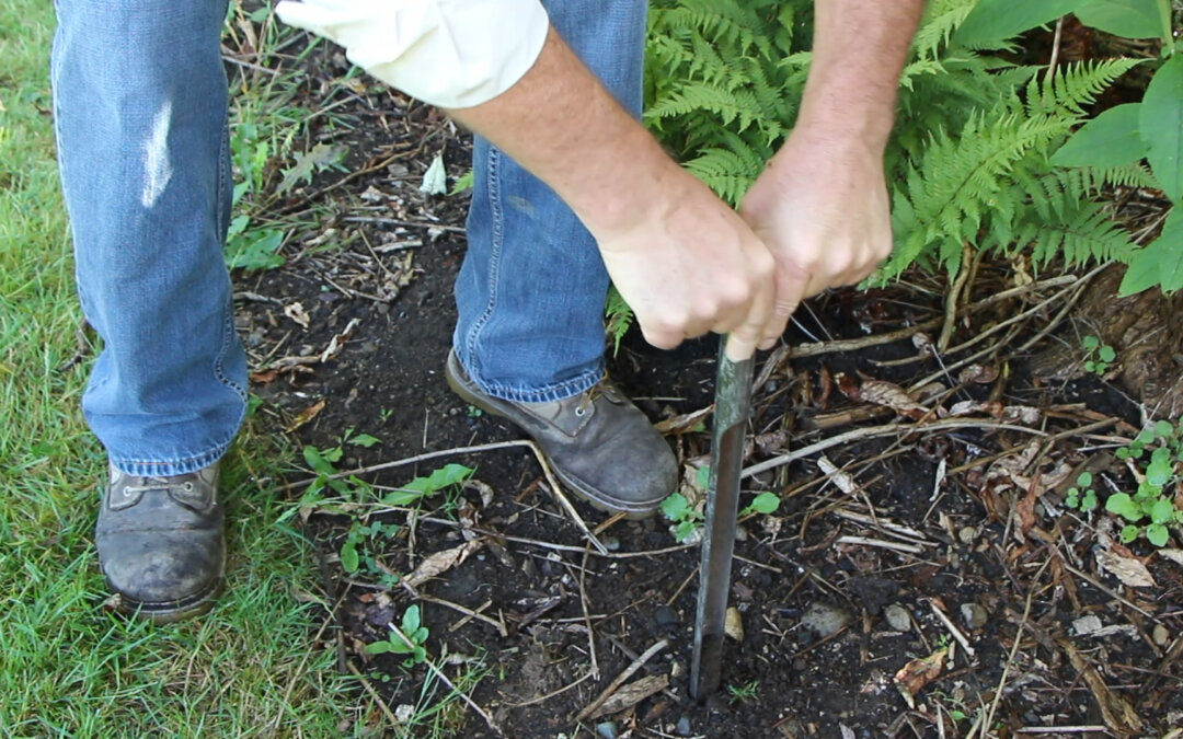 How to use a soil probe