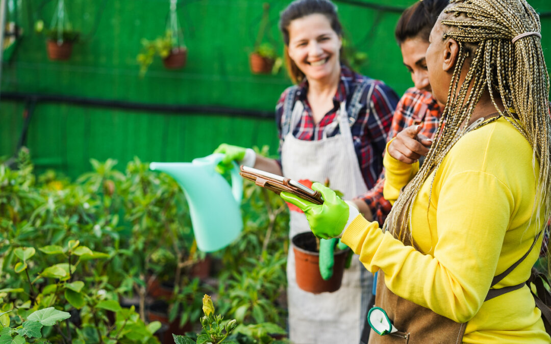 Fall gardening workshops will help you improve your garden