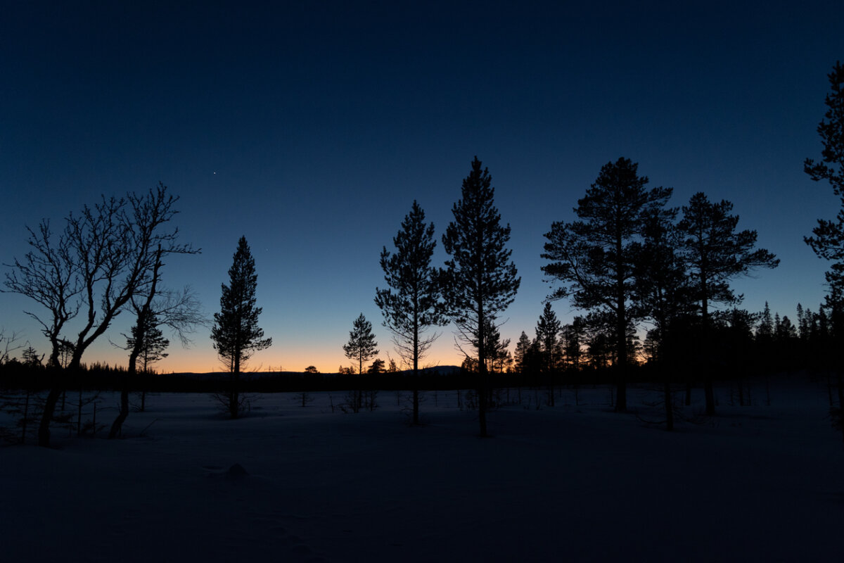 To honor the winter solstice, we suggest embracing the darkness. In Harmony Sustainable Landscapes