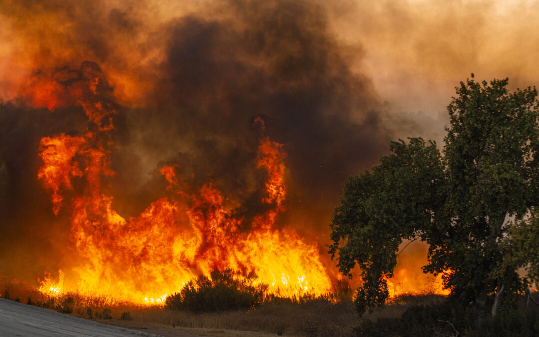 How to prepare your home for wildfires