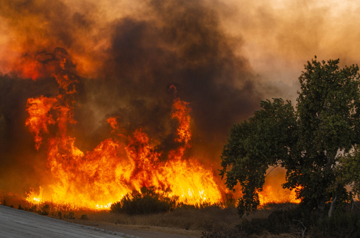 Here are tips on how to prepare your home for wildfires. In Harmony Sustainable Landscapes